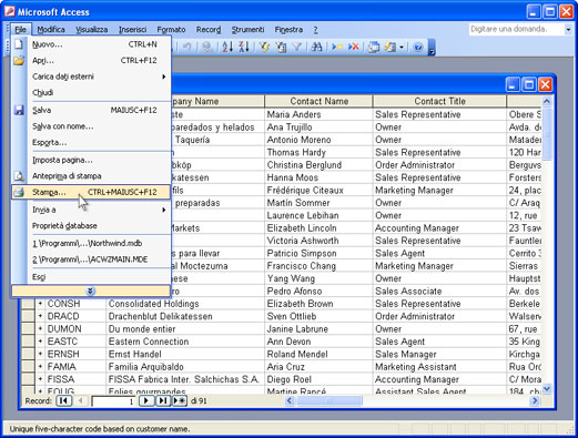 Aprire il report di Microsoft Access e premere File-Stampa... nel menu principale dell'applicazione.