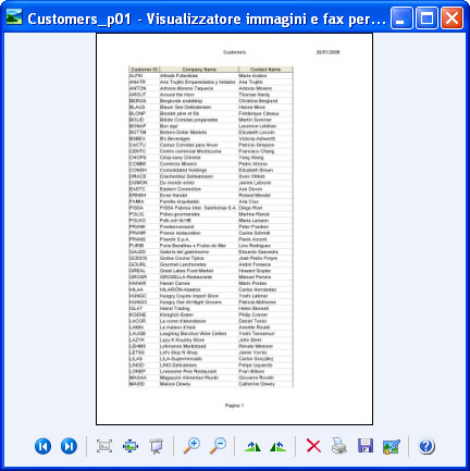 Il report convertito nel visualizzatore predefinito delle immagini.