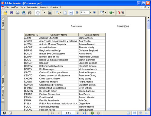 Il report convertito in Adobe Acrobat.
